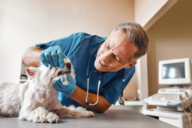  Groves, TX Emergency Dentist Pros